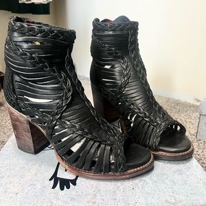 Freebird by Steven Bela